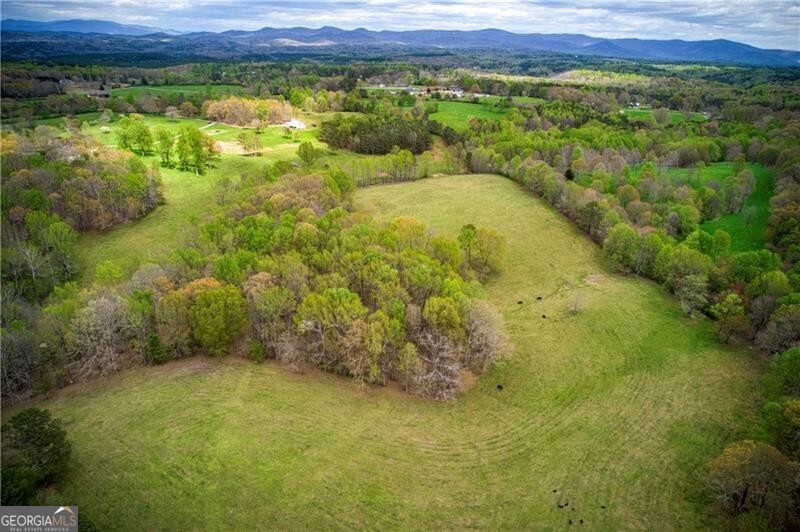 Jasper, Georgia 30143, United States, ,Land,Active,11427