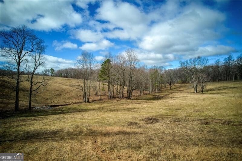 Jasper, Georgia 30143, United States, ,Land,Active,11427