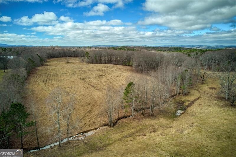 Jasper, Georgia 30143, United States, ,Land,Active,11427