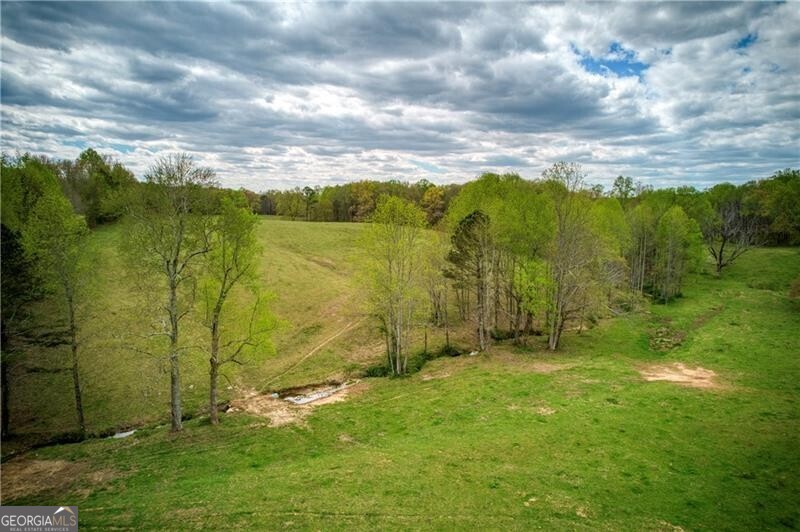 Jasper, Georgia 30143, United States, ,Land,Active,11427