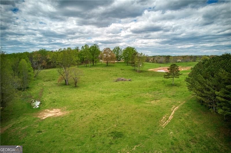 Jasper, Georgia 30143, United States, ,Land,Active,11427