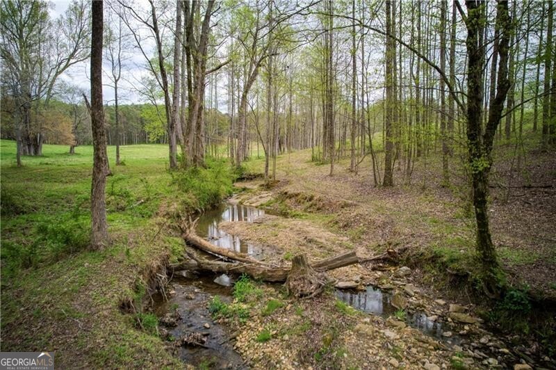 Jasper, Georgia 30143, United States, ,Land,Active,11427