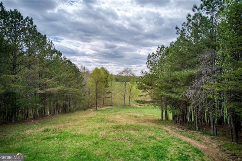 Jasper, Georgia 30143, United States, ,Land,Active,11427