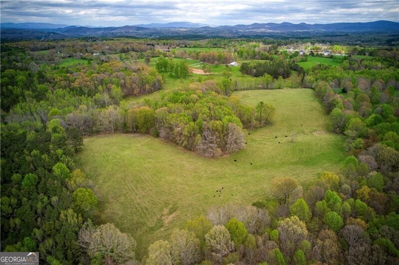 Jasper, Georgia 30143, United States, ,Land,Active,11427