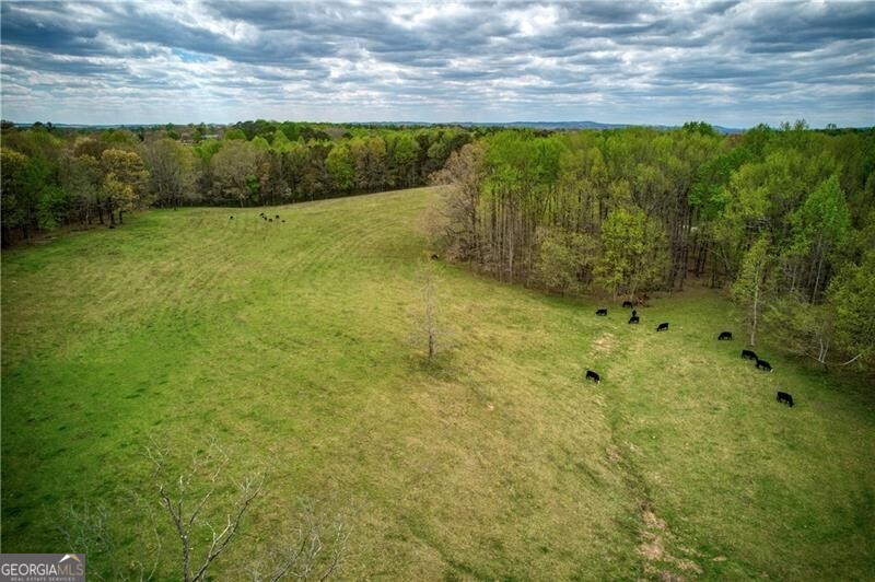 Jasper, Georgia 30143, United States, ,Land,Active,11427