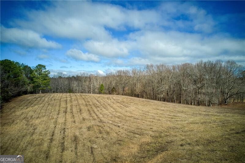 Jasper, Georgia 30143, United States, ,Land,Active,11427