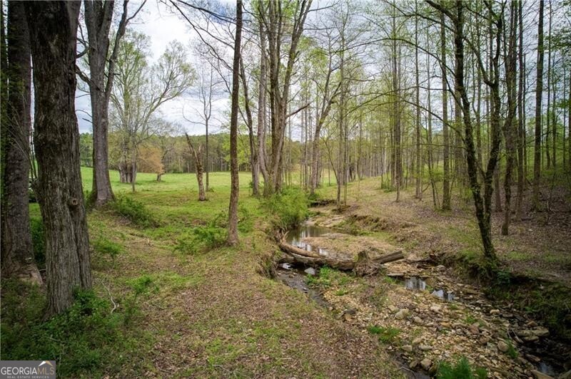 Jasper, Georgia 30143, United States, ,Land,Active,11427