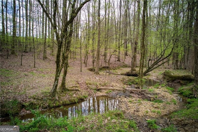 Jasper, Georgia 30143, United States, ,Land,Active,11427