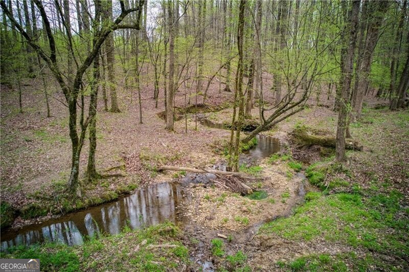 Jasper, Georgia 30143, United States, ,Land,Active,11427