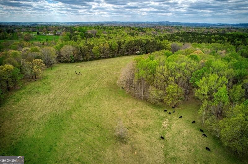 Jasper, Georgia 30143, United States, ,Land,Active,11427