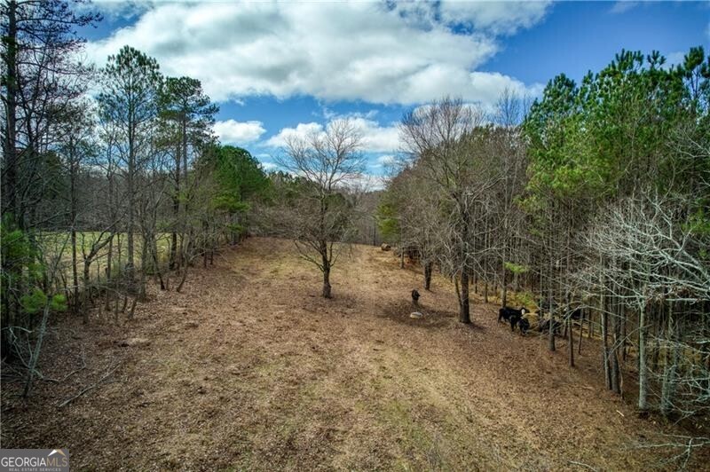 Jasper, Georgia 30143, United States, ,Land,Active,11427