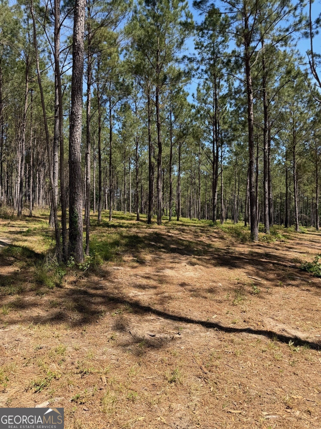 12 ACRES Collins road