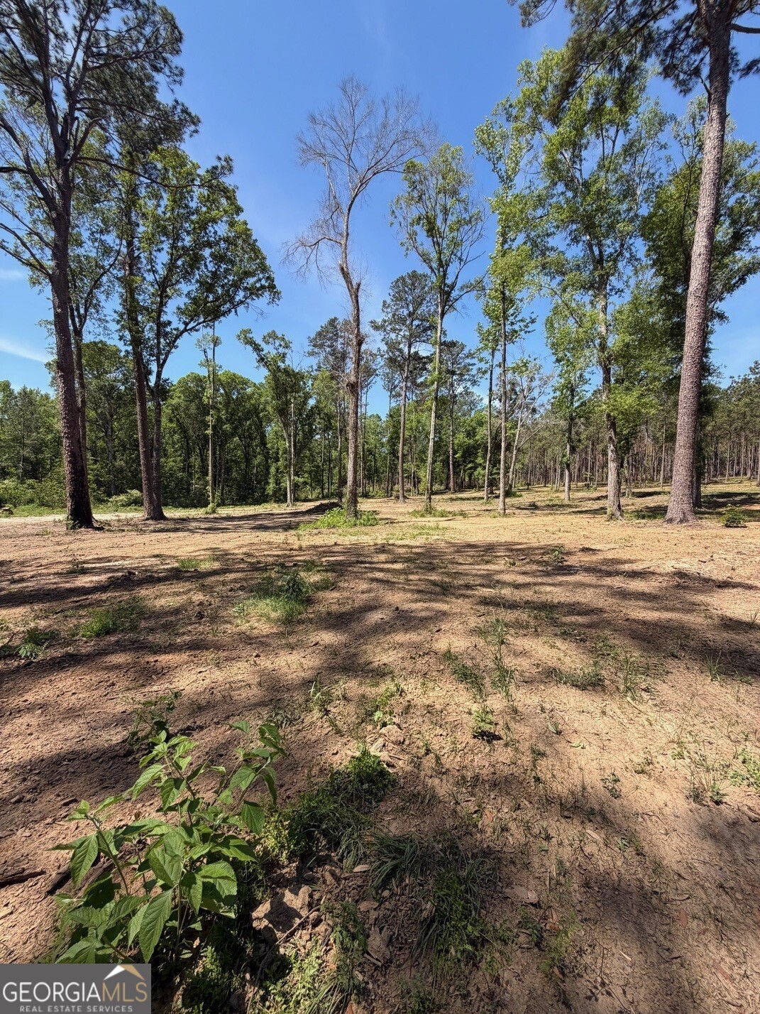 12 ACRES Collins road