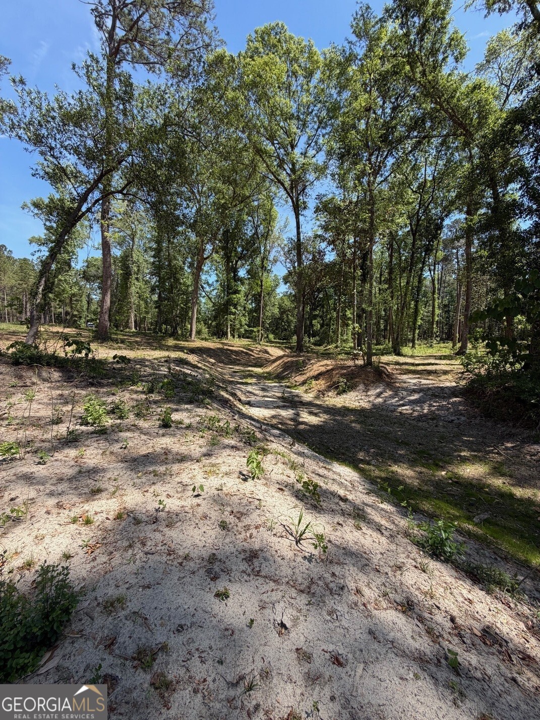 12 ACRES Collins road