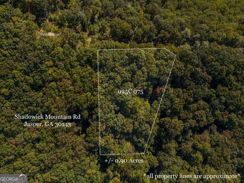 0 Shadowick Mountain RD Jasper GA 30143