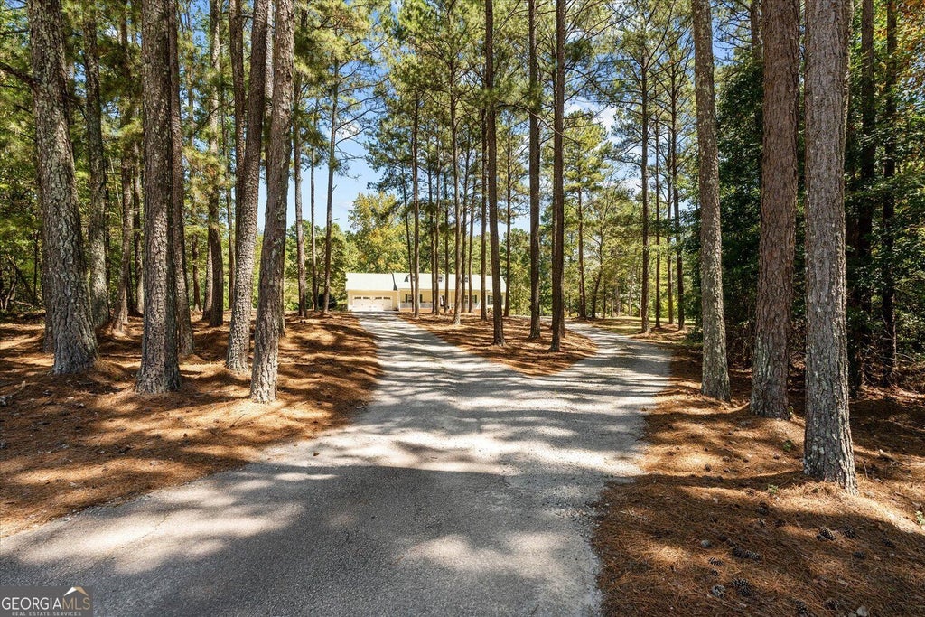 Photo of 51 Moon Road, Waco, GA 30182 (MLS # 10851198)