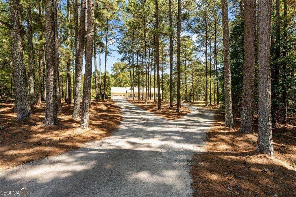 51 Moon RD