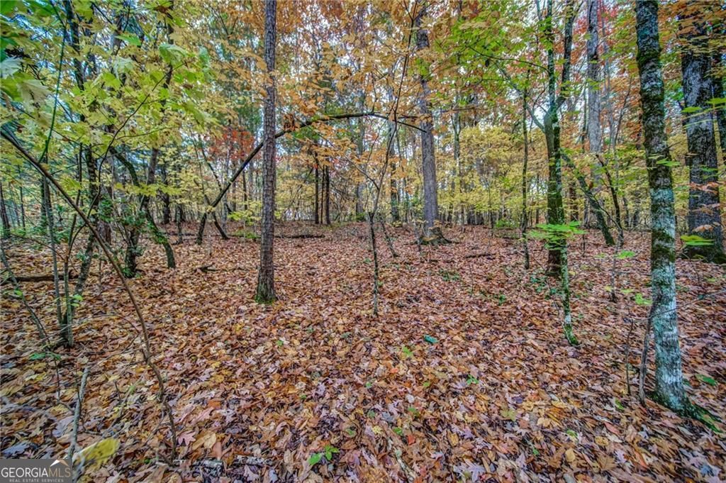 Photo of 543 Cove Lake Drive #19, Marble Hill, GA 30148 (MLS # 10760045)