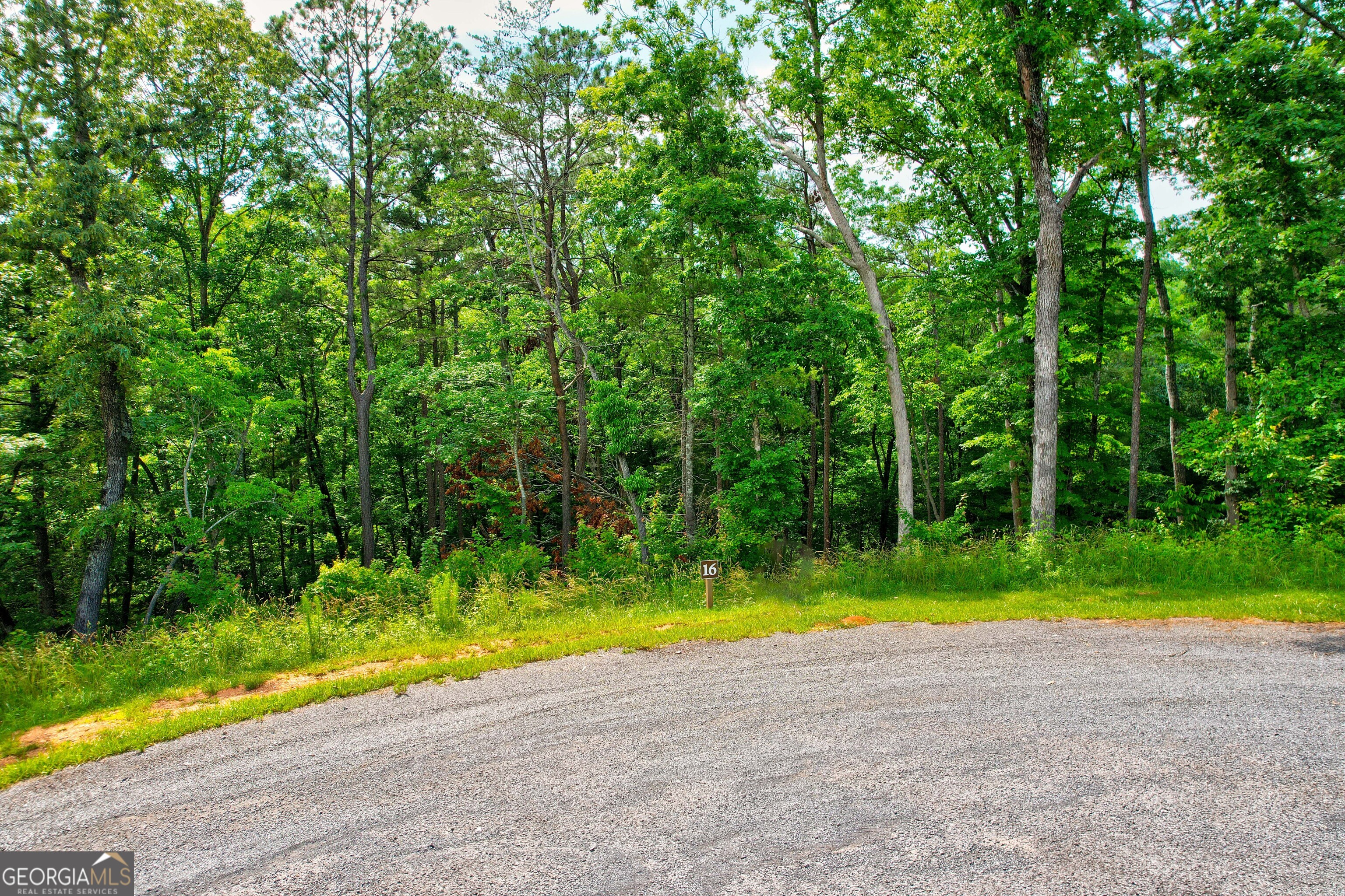 LOT 16 Lake Top LN