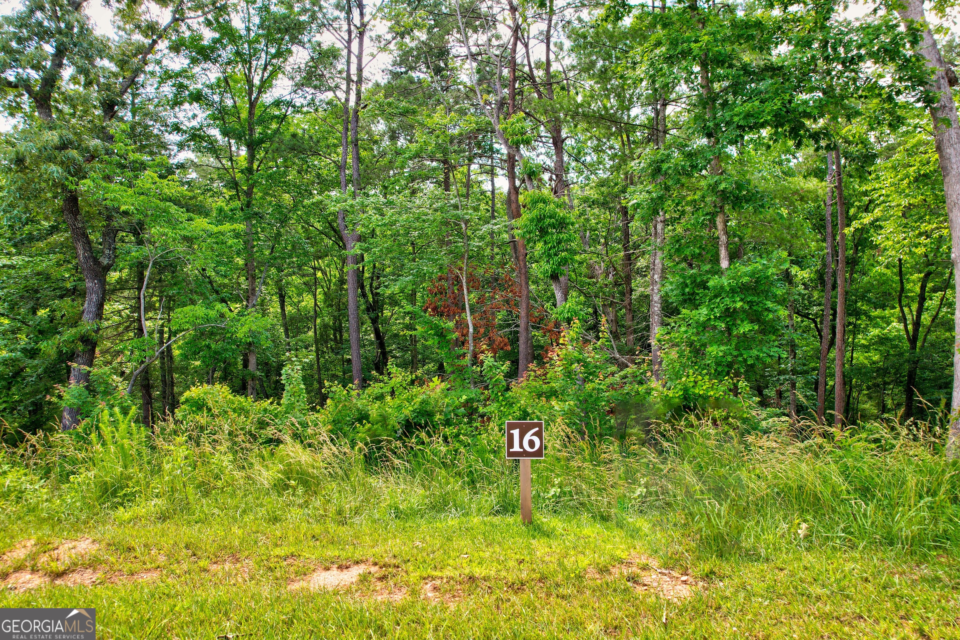 LOT 16 Lake Top LN