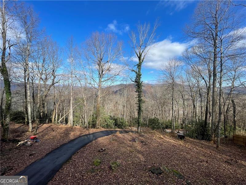 574 Bachelors Button DR