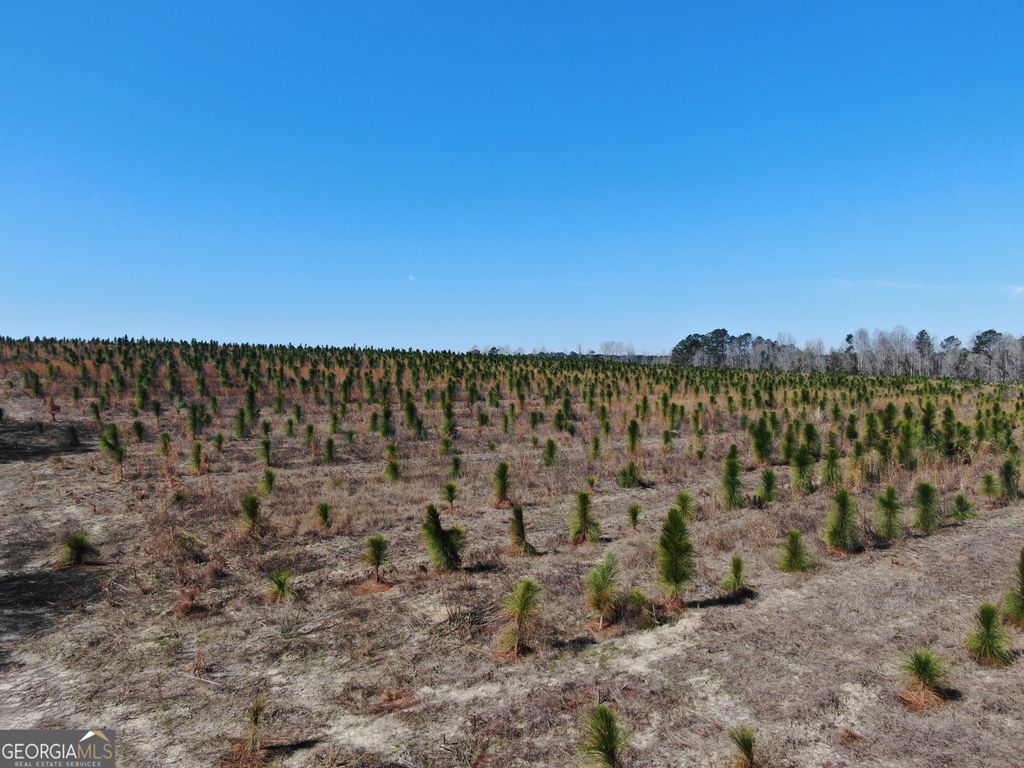 Photo of 0 AIRPORT Road, MCRAE HELENA, GA 31037 (MLS # 10704505)