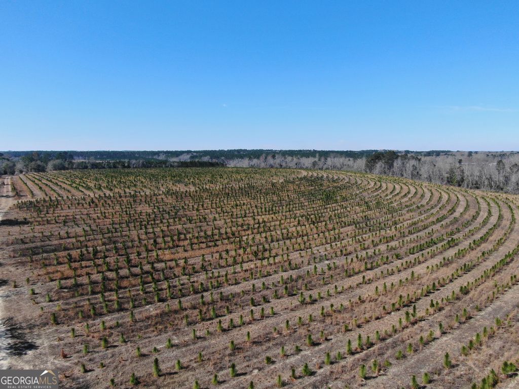 Photo of 0 AIRPORT Road, MCRAE HELENA, GA 31037 (MLS # 10704505)