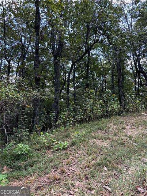 0 Little Hendricks Mountain Jasper GA 30143