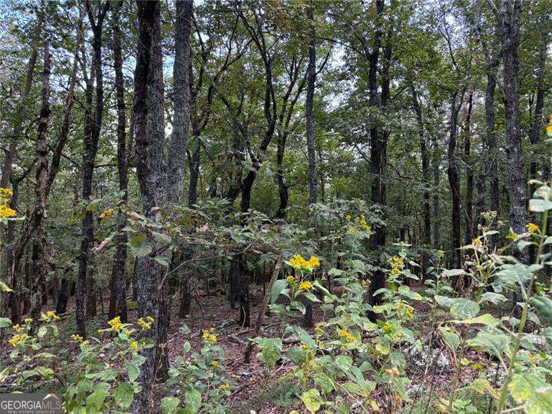 0 Little Hendricks Mountain