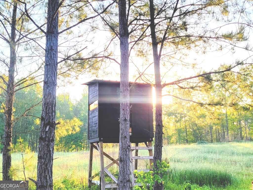 Photo of 80 Highway, Culloden, GA 31016 (MLS # 10736397)