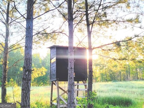 Photo of 80 Highway, Culloden, GA 31016 (MLS # 10736397)