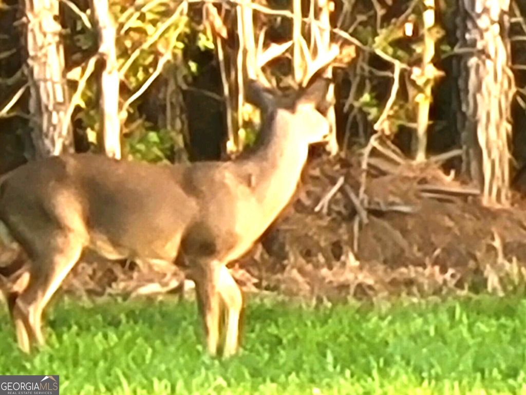 Photo of 80 Highway, Culloden, GA 31016 (MLS # 10736397)