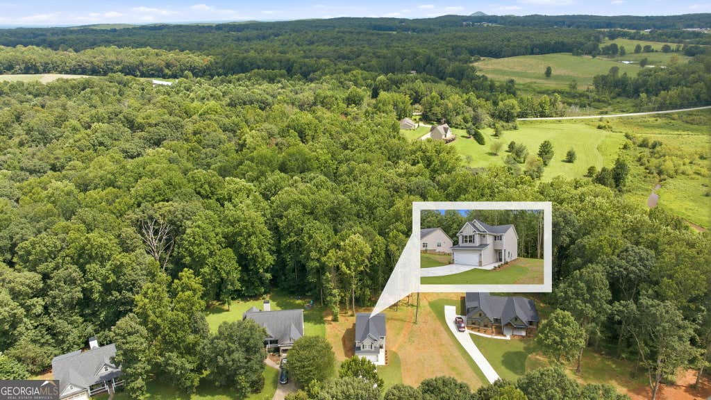 Photo of 318 Stonington Drive, Mount Airy, GA 30563 (MLS # 10820978)