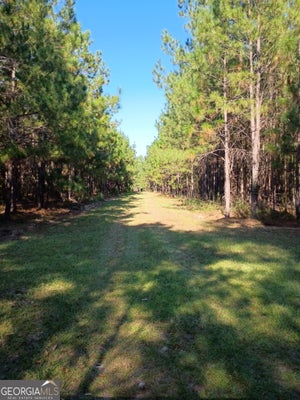 THOMAS RD, MILLEN, GA 30442 - Image ee13f36ee319cdcd6dae33e8bac29147/546382196