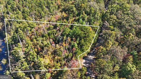 Photo of 1666 Hunter Drive, Ranger, GA 30734 (MLS # 10631855)