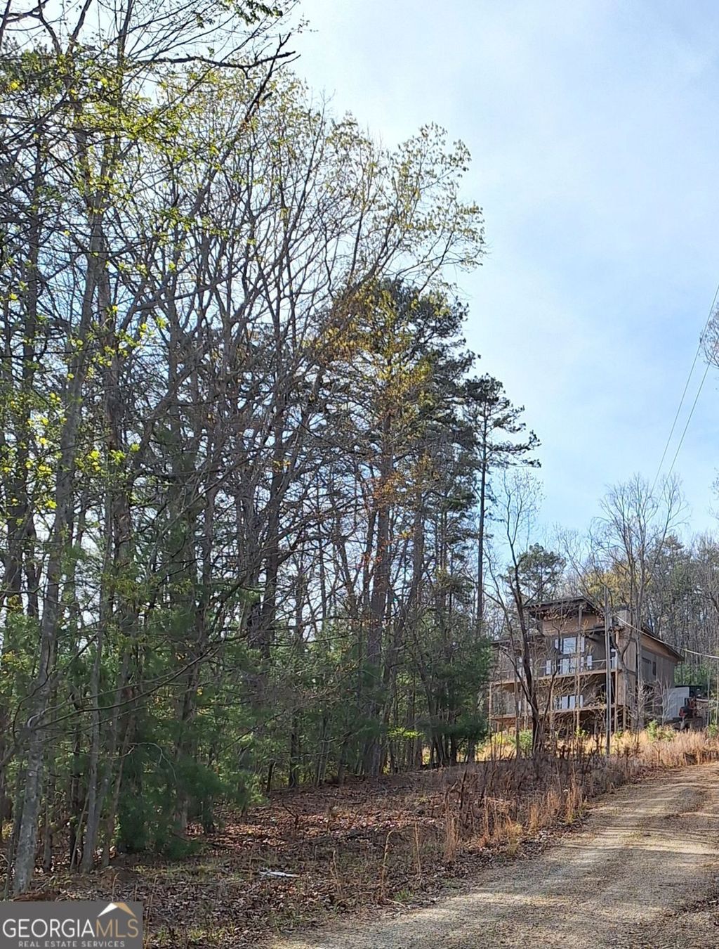 Photo of 0 Mull Lane Circle, MORGANTON, GA 30560 (MLS # 10728673)