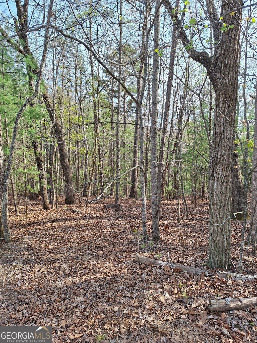 Photo of 0 Mull Lane Circle, MORGANTON, GA 30560 (MLS # 10728673)