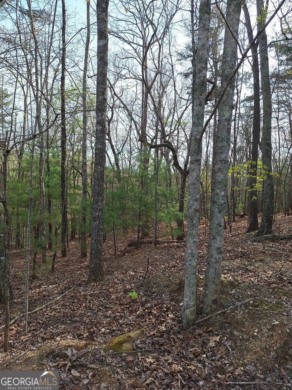 Photo of 0 Mull Lane Circle, MORGANTON, GA 30560 (MLS # 10728673)