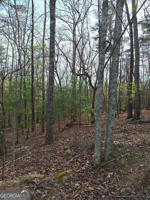 Photo of 0 Mull Lane Circle, Morganton, GA 30560 (MLS # 10728673)