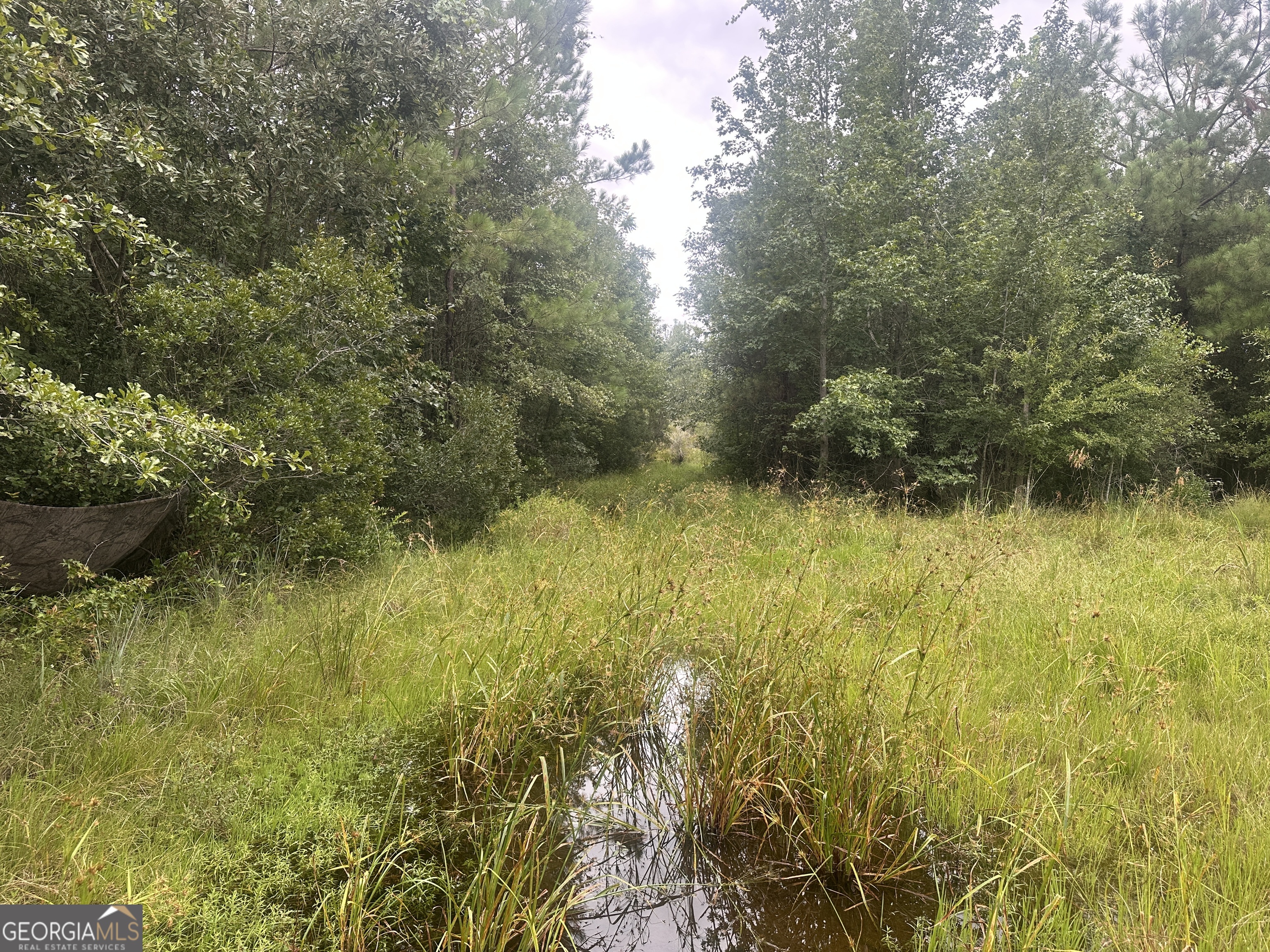 0 Hiltonia-Perkins RD