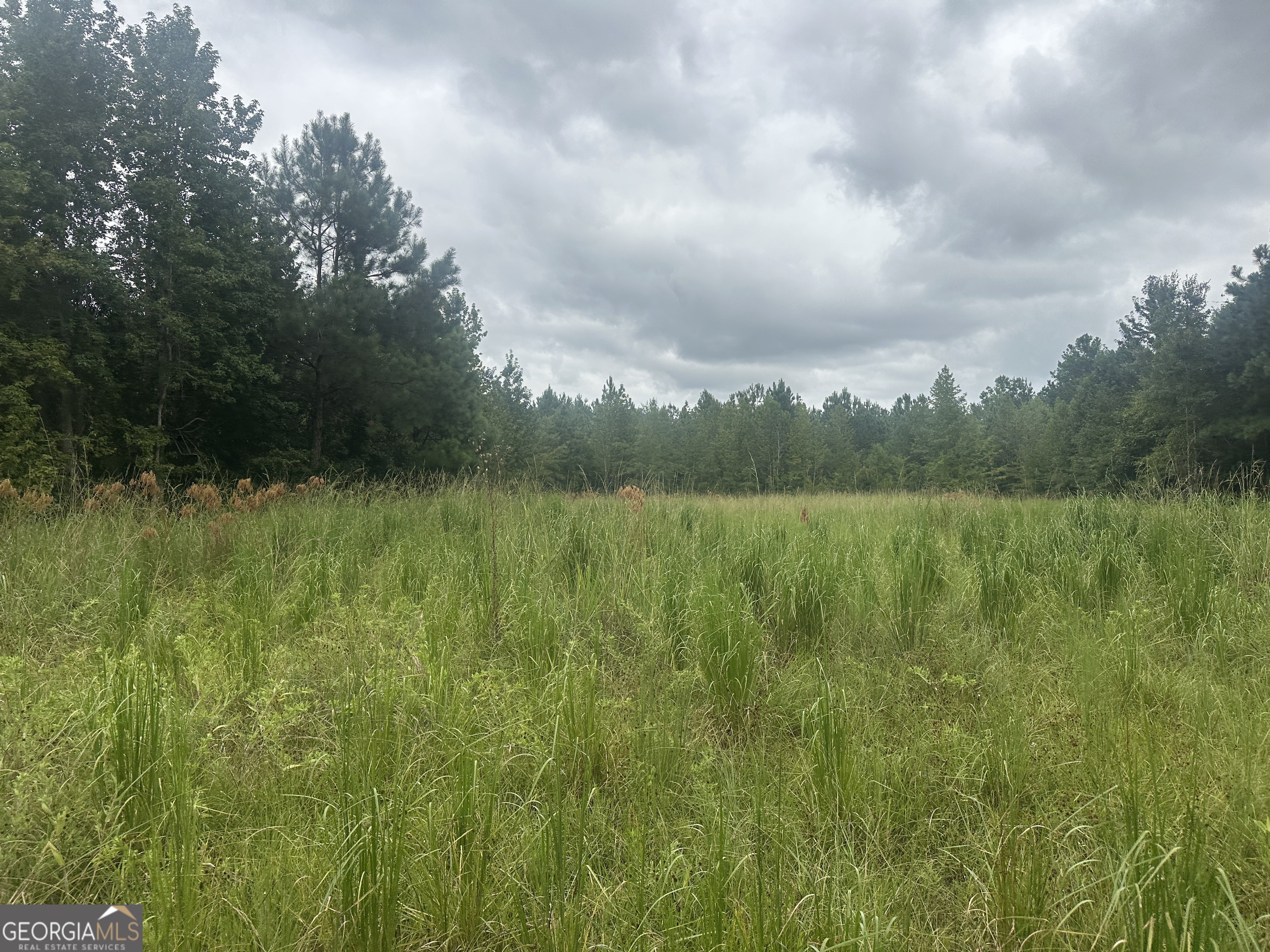 0 Hiltonia-Perkins RD