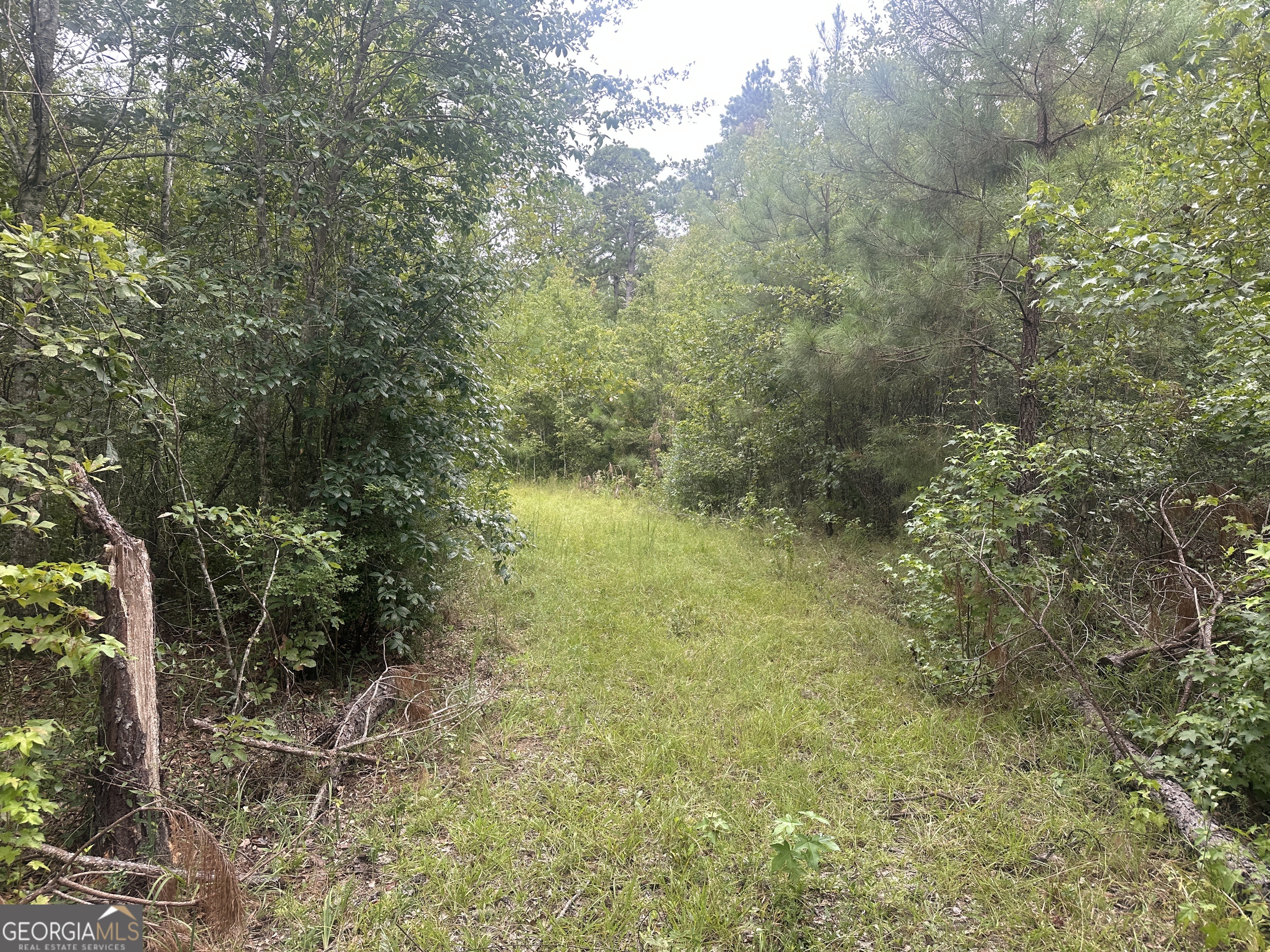 0 Hiltonia-Perkins RD