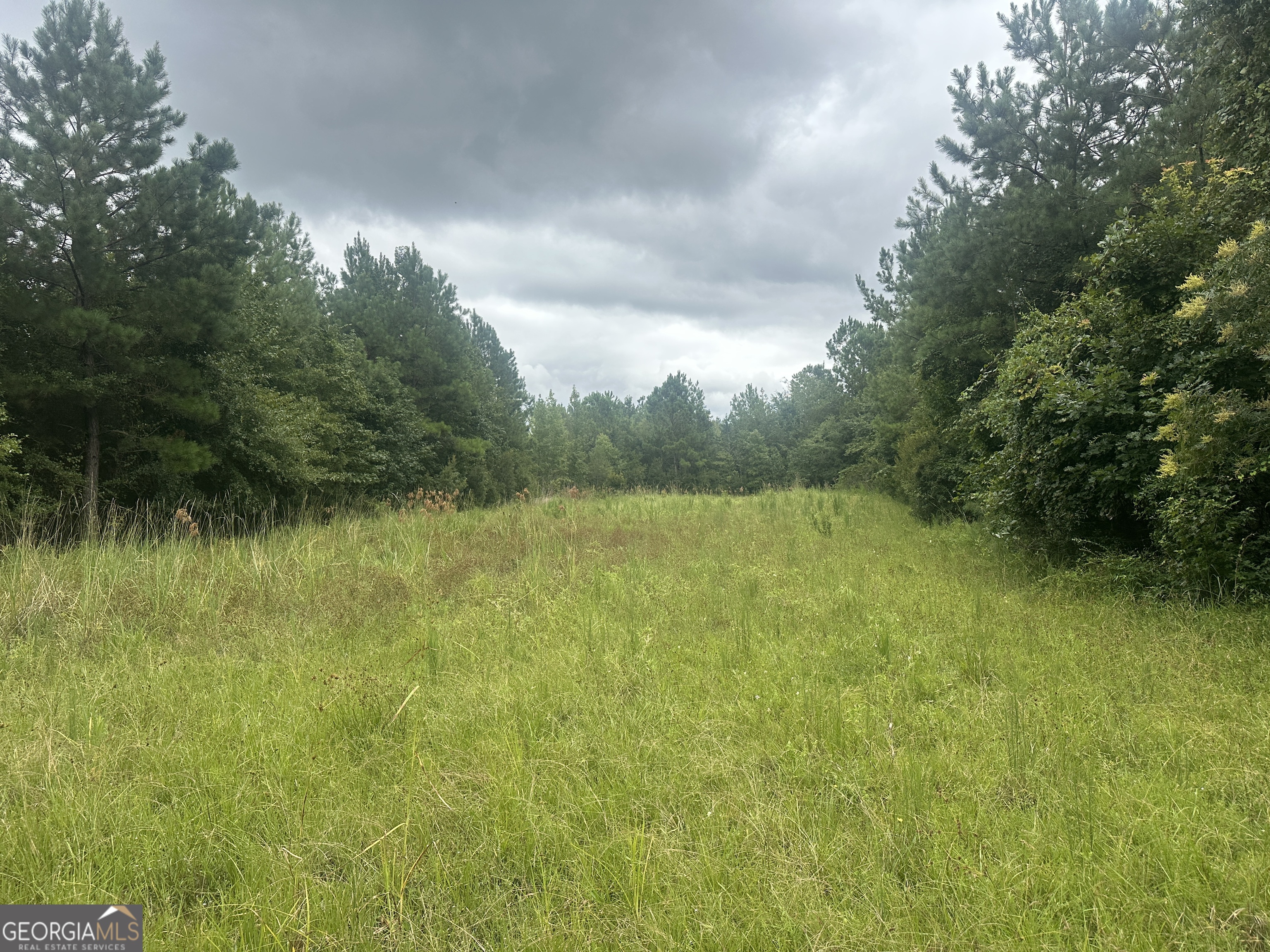 Remote hunting property on Beaver Dam Creek in Northern Screven County just outside Hiltonia. The property is mostly wetlands with a few pockets of uplands for deer hunting. There are 3 established food plots and some pine areas. The majority of the land has standing water for excellent duck hunting possibilities.