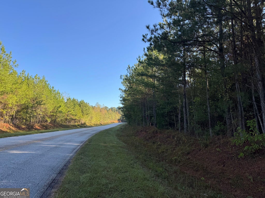 Photo of 15 Butler Road, Franklin, GA 30217 (MLS # 10875470)