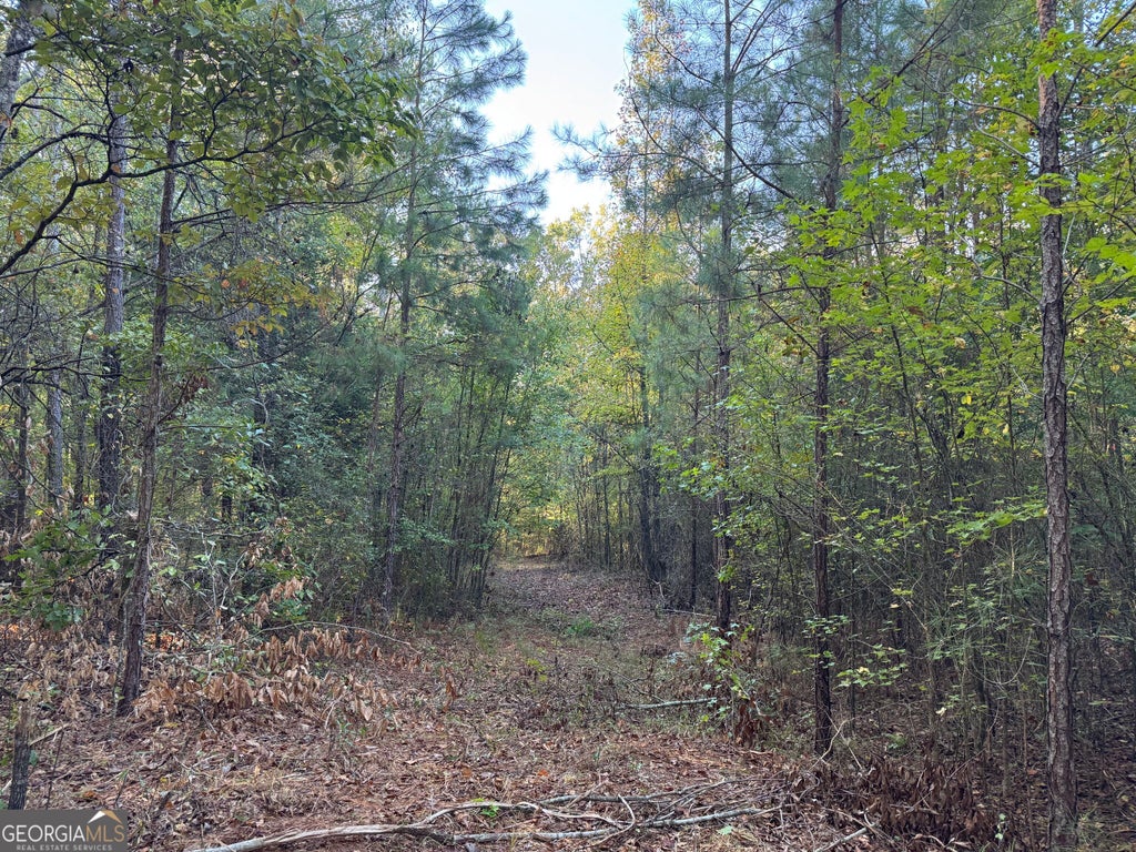 Photo of 15 Butler Road, Franklin, GA 30217 (MLS # 10875470)