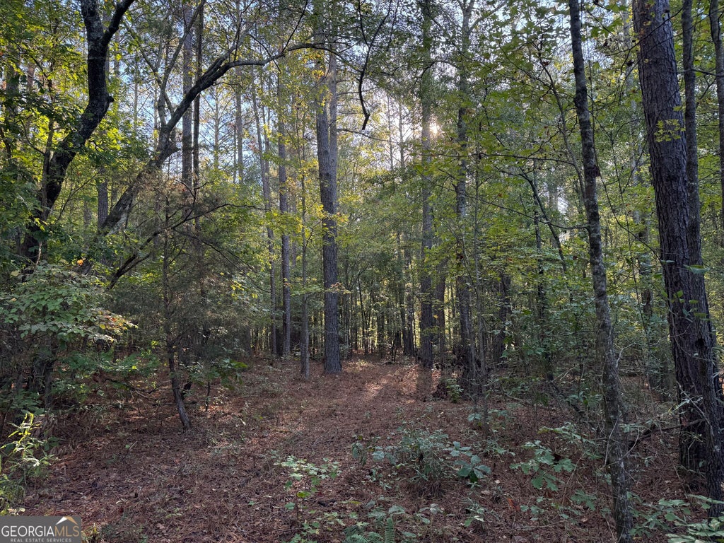 Photo of 15 Butler Road, Franklin, GA 30217 (MLS # 10875470)
