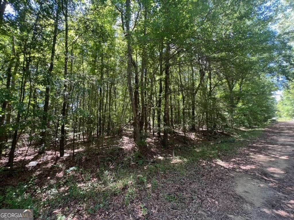 Photo of 520 E Church Street, Sandersville, GA 31082 (MLS # 10516554)