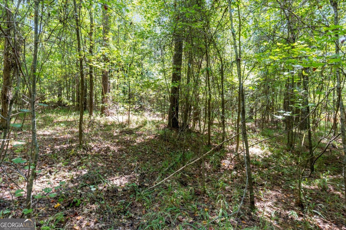 1141 Apalachee Meadows DR
