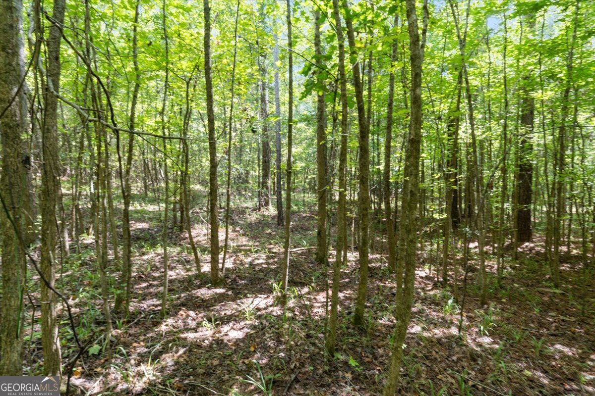 1141 Apalachee Meadows DR