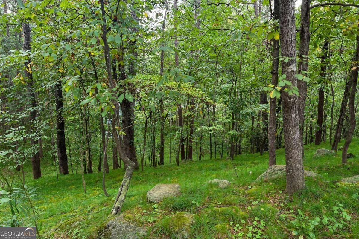 360 Spyglass Bluff DR